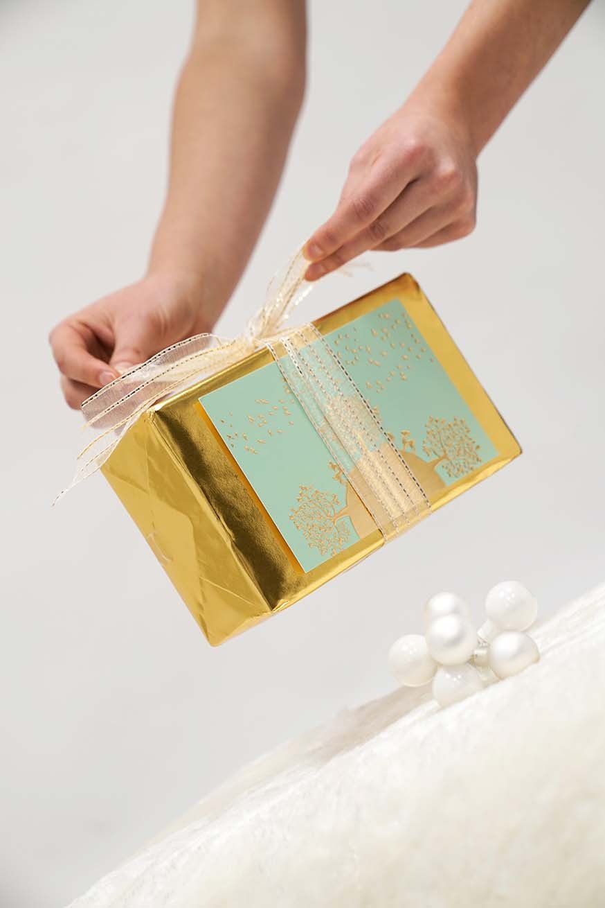 Certification de consultant spécialisé en transport - Forfait Premium - KOKADI